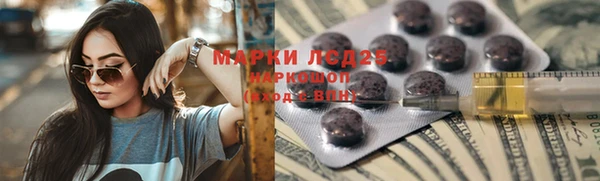 мяу мяу мука Аркадак