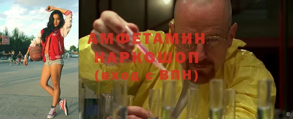 мяу мяу мука Аркадак