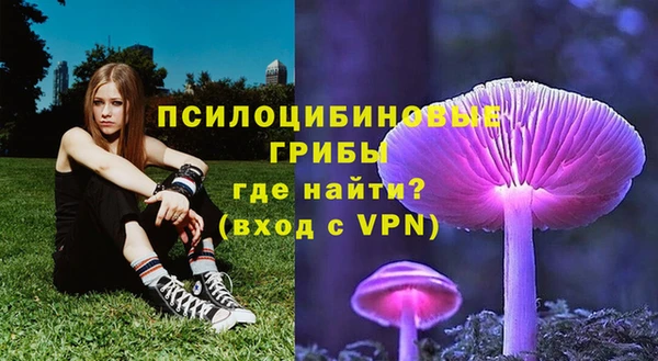 бошки Армянск