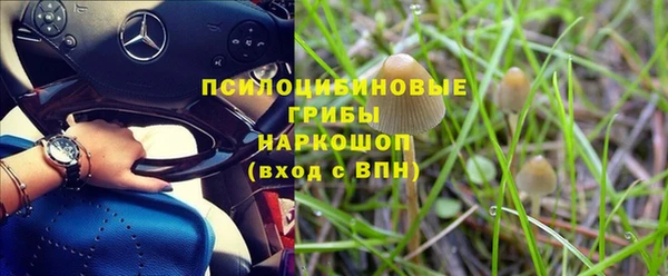 бошки Армянск