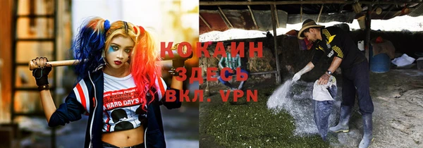 мяу мяу мука Аркадак