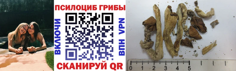 Псилоцибиновые грибы мухоморы  Сафоново 